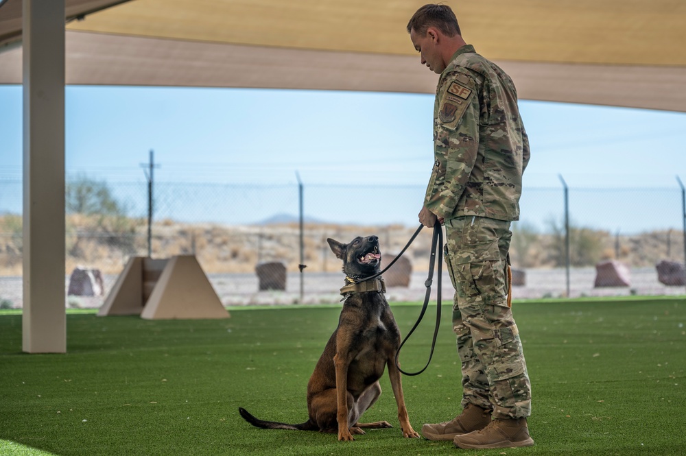 MWD: the beast defender