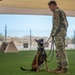 MWD: the beast defender