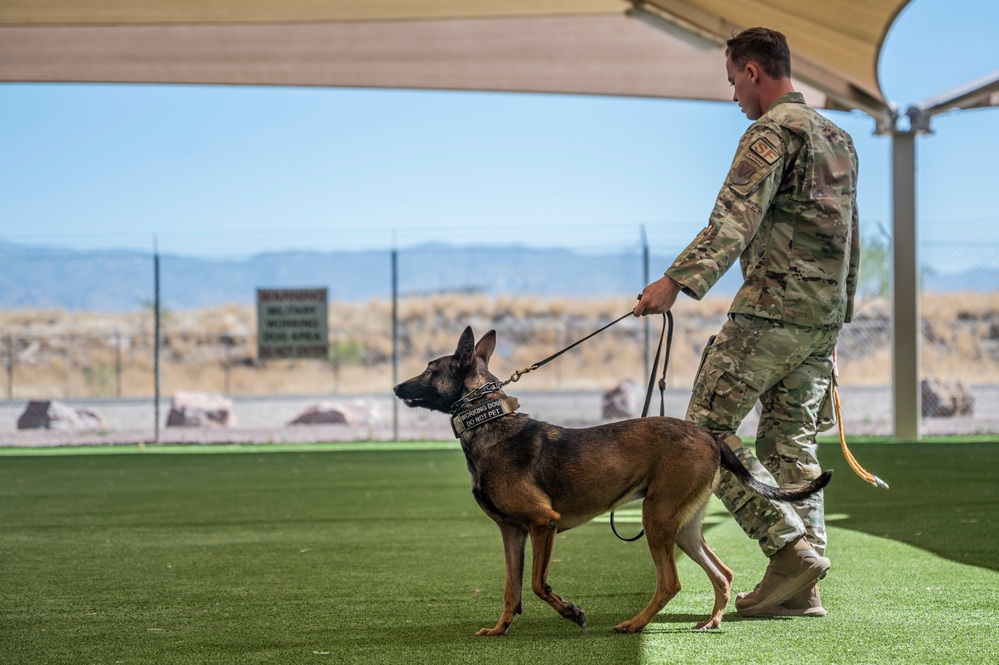 MWD: the beast defender