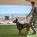 MWD: the beast defender