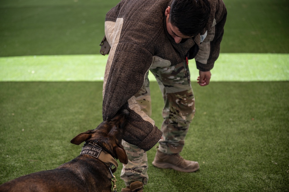 MWD: the beast defender