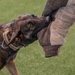 MWD: the beast defender