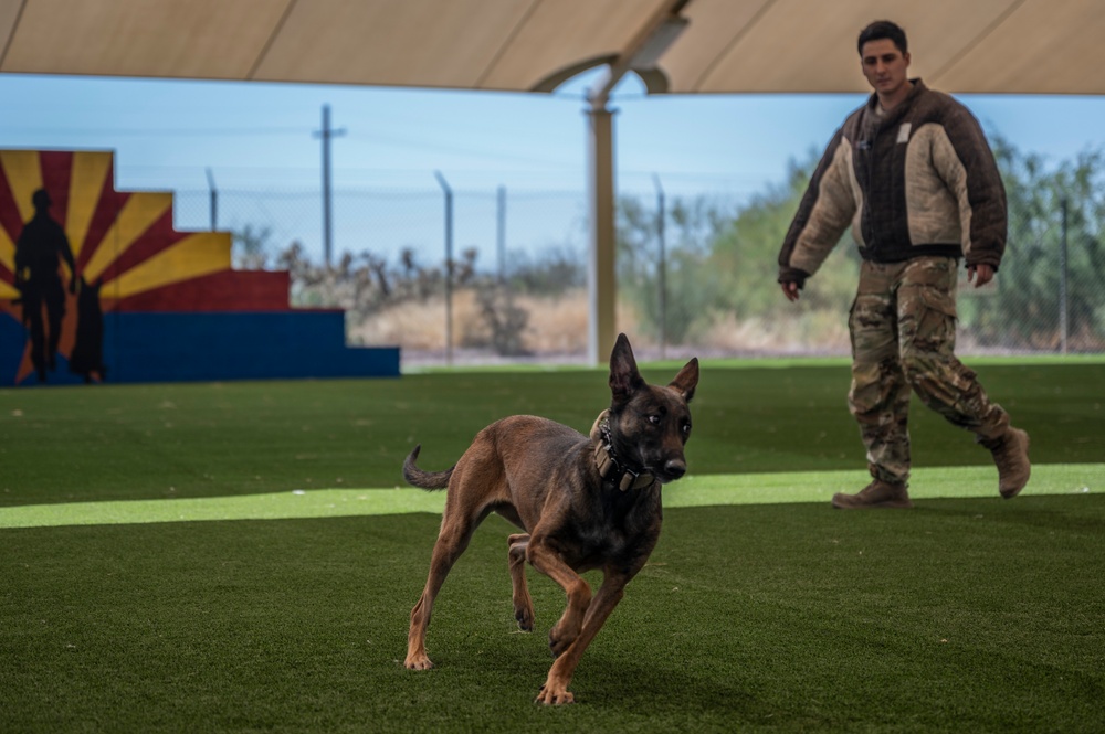 MWD: the beast defender