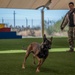 MWD: the beast defender