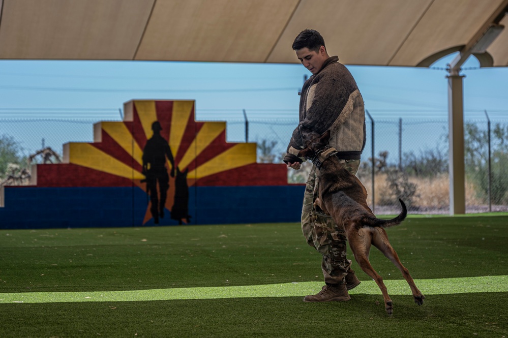 MWD: the beast defender