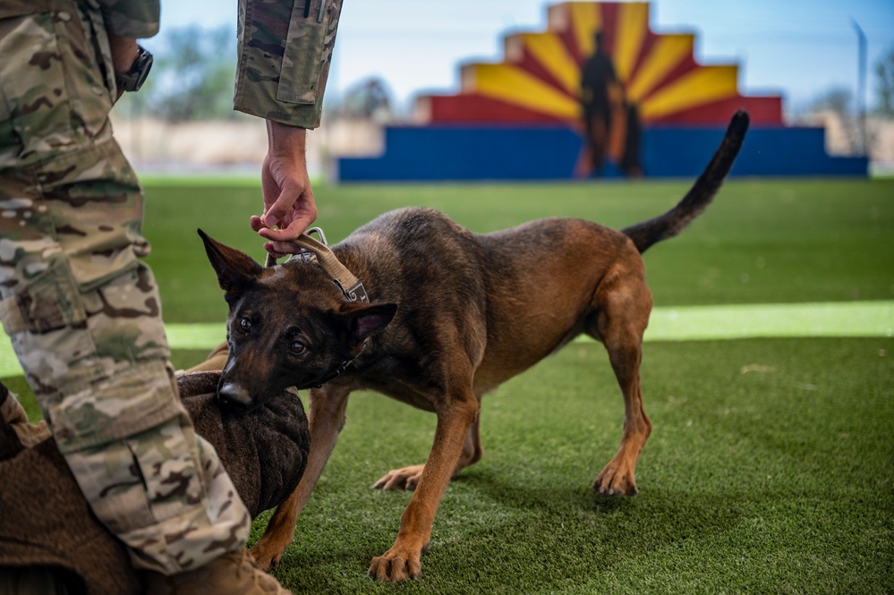 MWD: the beast defender