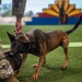 MWD: the beast defender