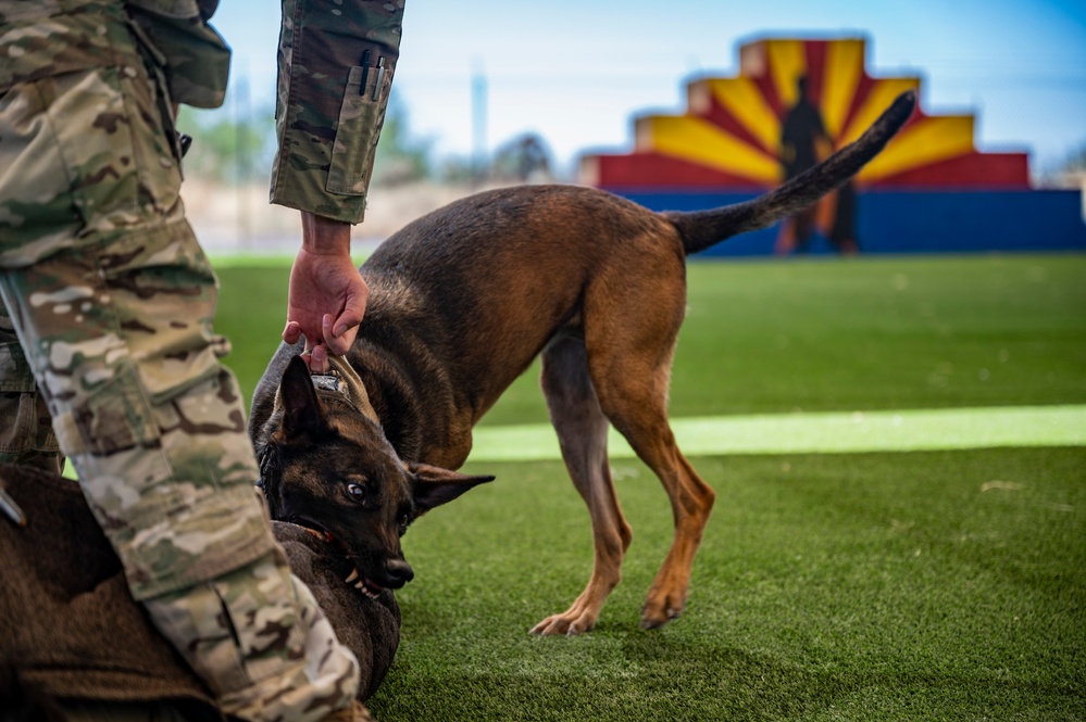 MWD: the beast defender