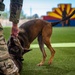 MWD: the beast defender