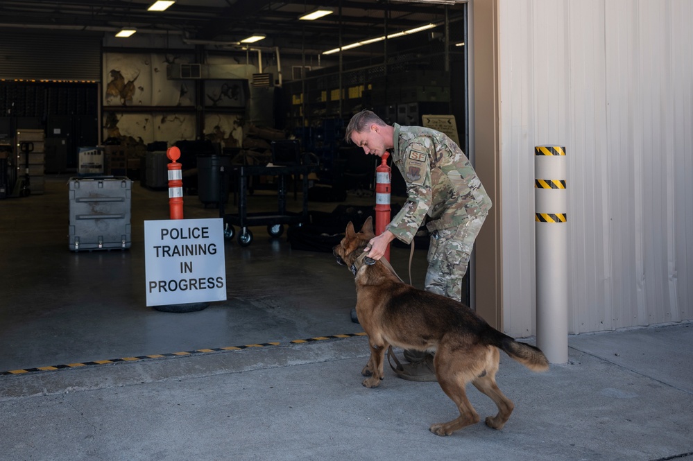 MWD: the beast defender