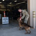 MWD: the beast defender