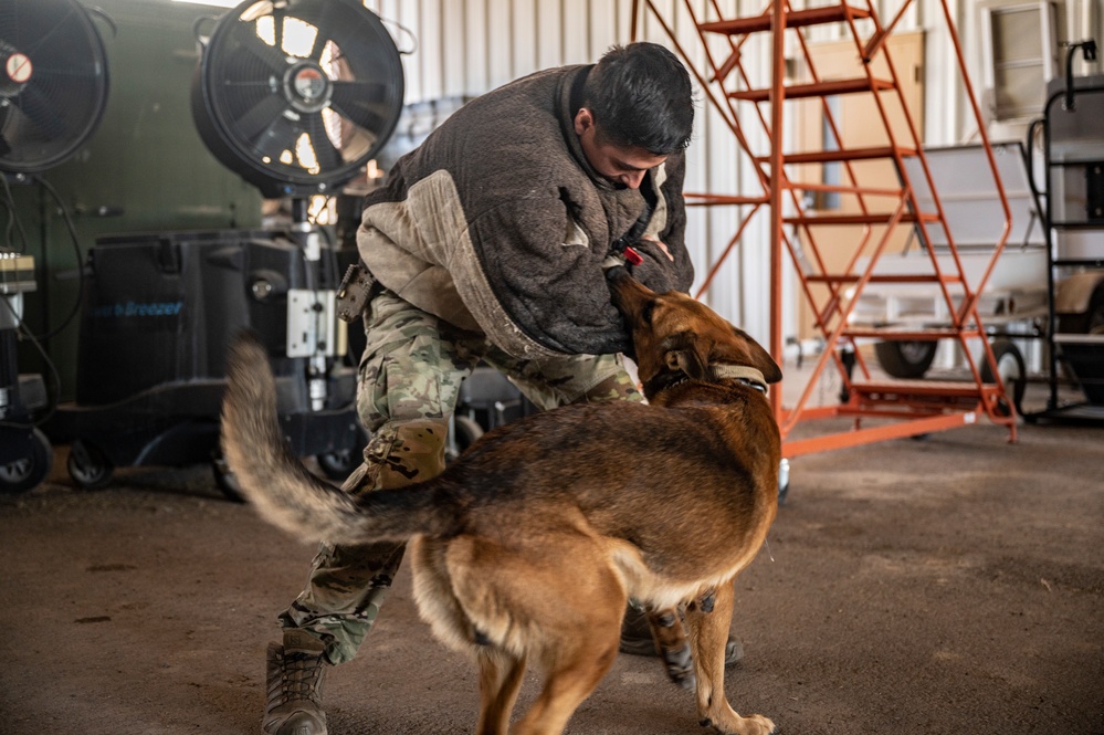 MWD: the beast defender