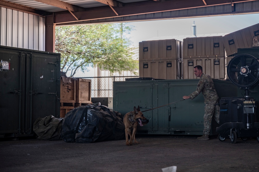 MWD: the beast defender