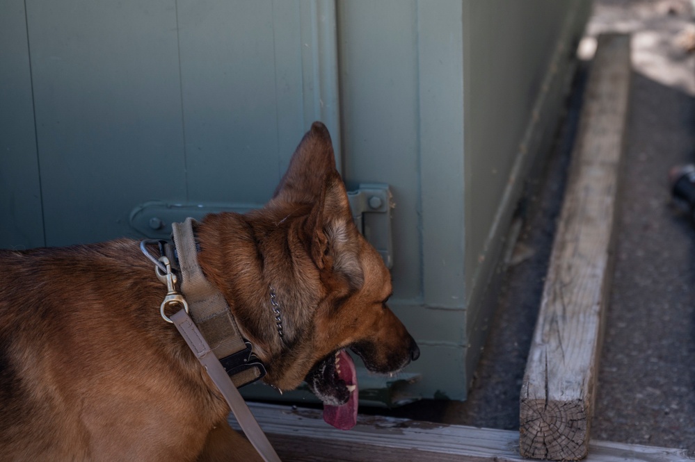 MWD: the beast defender