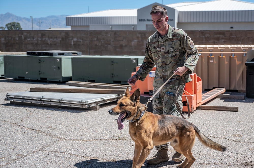 MWD: the beast defender