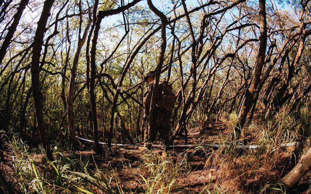 3d MLR Marines Conduct Field Exercise