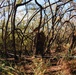 3d MLR Marines Conduct Field Exercise