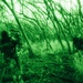 3d MLR Marines Conduct Field Training