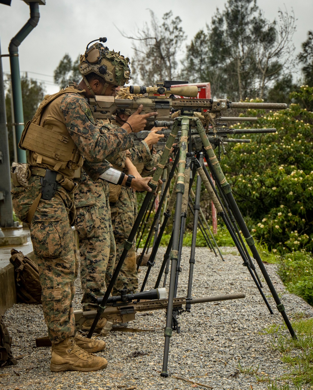 Urban Sniper Course: The Art and Science of Sniping
