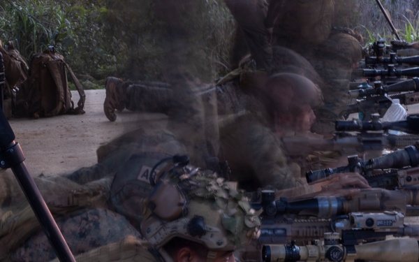 Urban Sniper Course: The Art and Science of Sniping