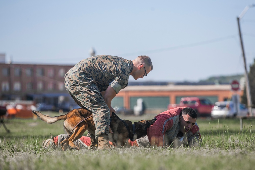 Quantico K-9 Training