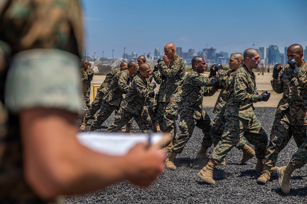 India Company MCMAP Test