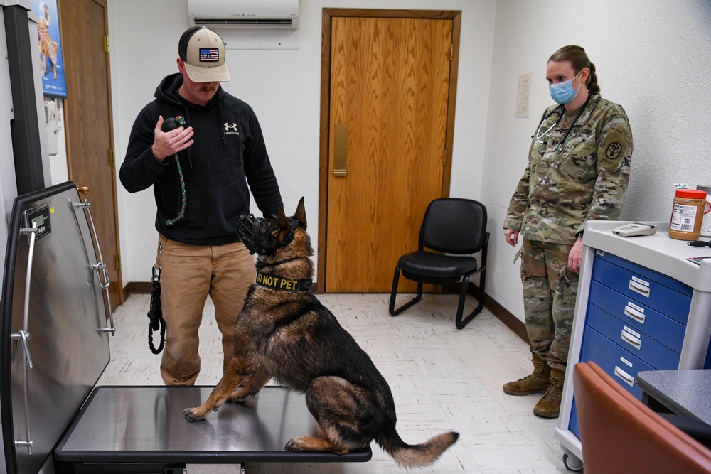 MWDs vet visit