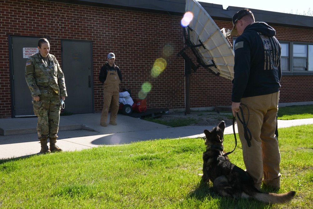 MWDs vet visit