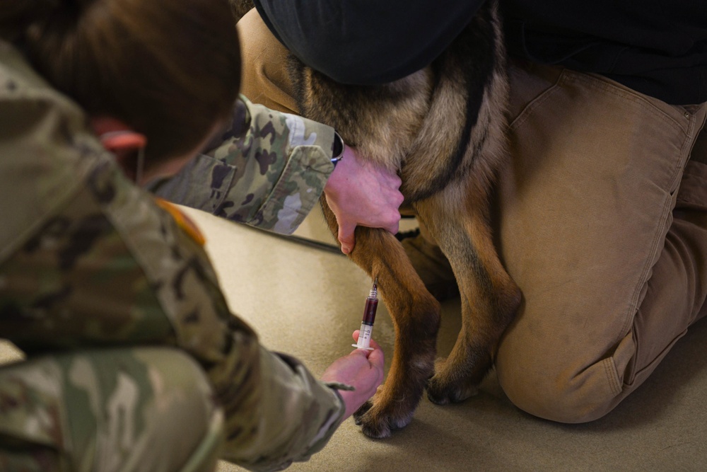 MWDs vet visit