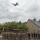 A military commemoration ceremony is taking place in what appears to be a French village, with soldiers in camouflage uniforms and an Air Force honor guard standing at attention. Two large military transport aircraft, consistent with C-130 Hercules, are performing a flyover above the assembled troops. The scene is decorated with French and American flags/bunting, suggesting a joint Franco-American memorial event, likely related to D-Day or WWII commemorations in Normandy.