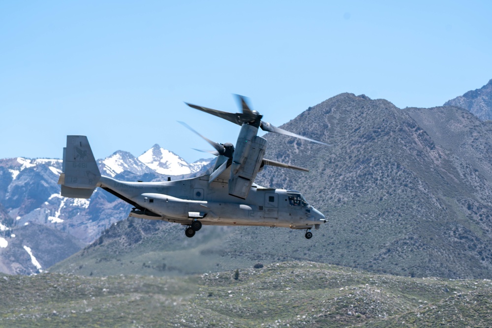 VMM-161 conduct logistics support mission; high altitude landings at Mountain Warfare Training Center