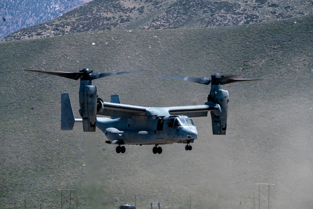 VMM-161 conduct logistics support mission; high altitude landings at Mountain Warfare Training Center