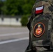 Polish Training Support Battalion celebrates its 8-year anniversary of adoption of heritage