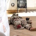 Fort McCoy Medical Simulation Center supports Wisconsin trauma conference