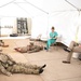 Fort McCoy Medical Simulation Center supports Wisconsin trauma conference