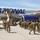 Soldiers with Pa. Guard’s 252nd Quartermaster Company leave for Middle East deployment