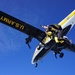 The U.S. Army Parachute Team celebrates community partners in tandem event