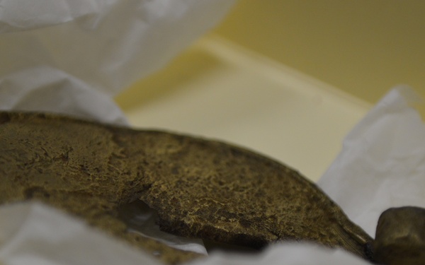 USS Cumberland artifacts