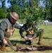 Belleau Wood Tree Planting Ceremony