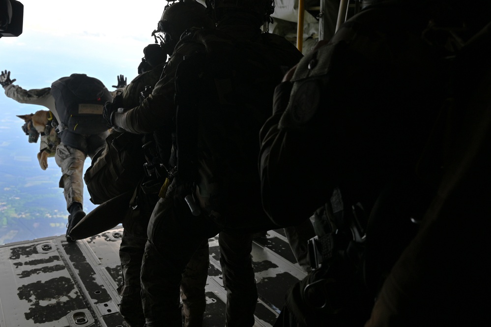 Athena 2022 - French Military Free Fall