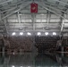 Delta Company Swim Week