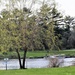 Pine View Campground at Fort McCoy