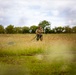 Liberty Jump Team and 82nd Jump into Normandy