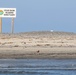 Crab Bank Seabird Sanctuary Tour