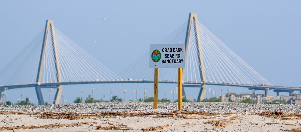 Crab Bank Seabird Sanctuary Tour