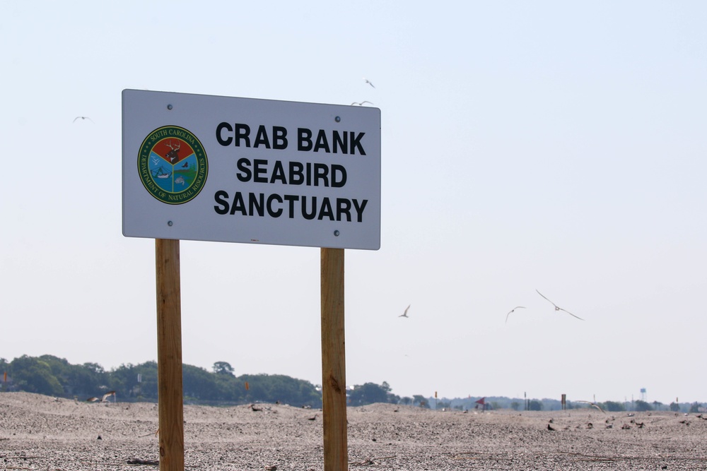 Crab Bank Seabird Sanctuary Tour