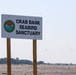 Crab Bank Seabird Sanctuary Tour