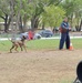 Showcasing military, police K-9 teams’ talents