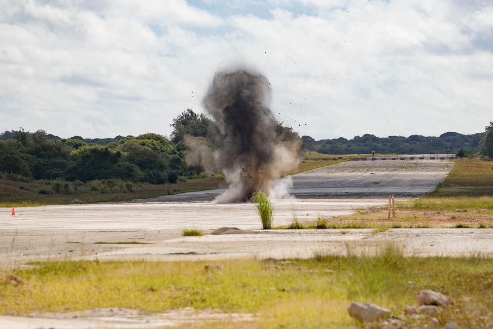 Explosive Ordnance Disposal Valiant Shield 22