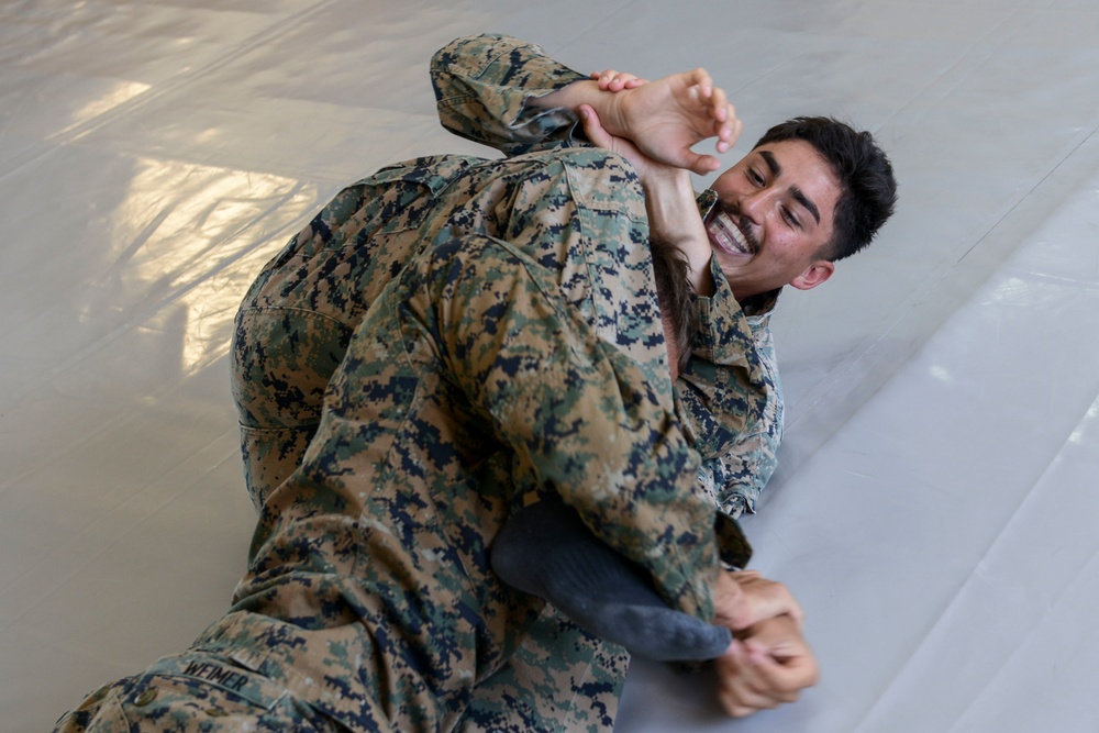 TF-61/2: FASTEUR MCMAP